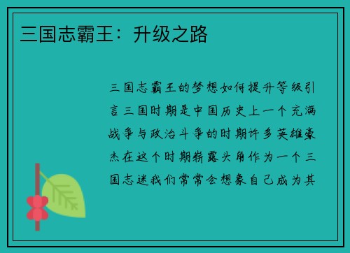 三国志霸王：升级之路